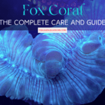 The Complete Care and Guide - Fox Coral